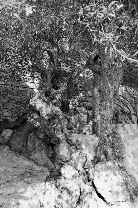 Agathes Traditional Houses Κάστελλος Εξωτερικό φωτογραφία