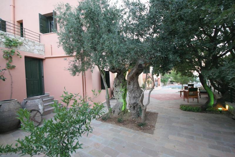 Agathes Traditional Houses Κάστελλος Δωμάτιο φωτογραφία